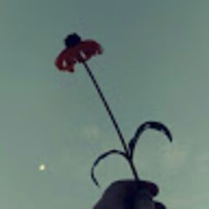 Meet your Posher, Red